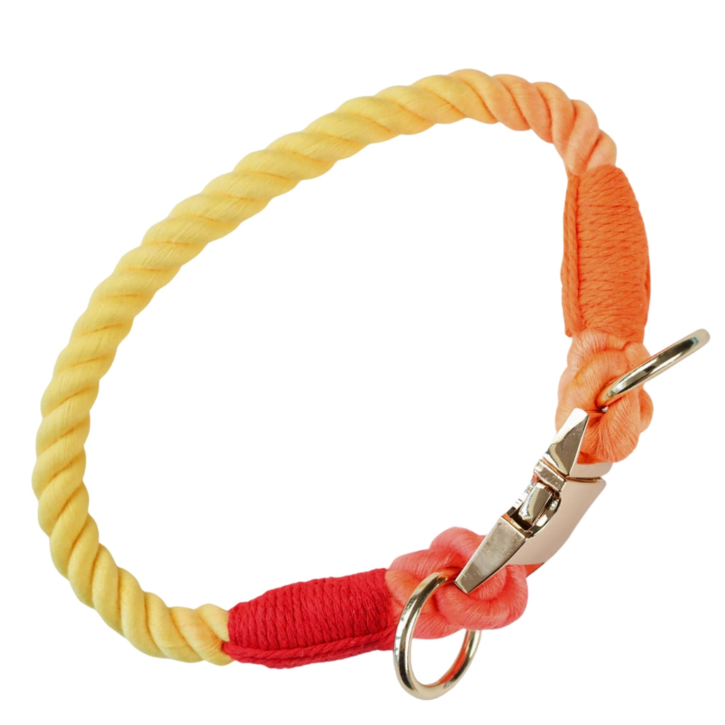 Oh So Fetch - Rope Collar Bright