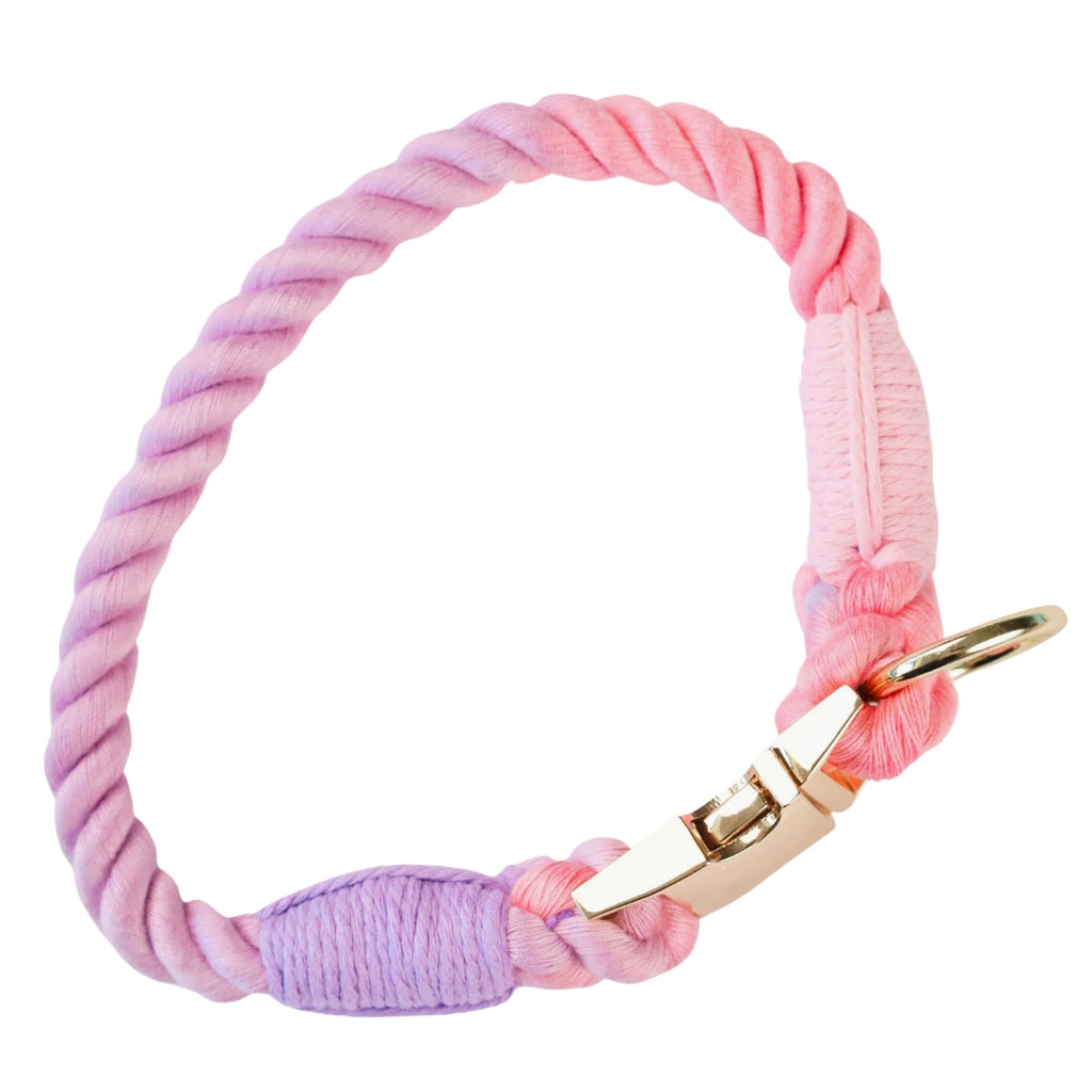Oh So Fetch - Rope Collar Pastels