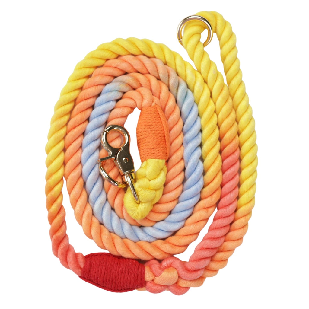 Oh So Fetch - Rope Lead Bright