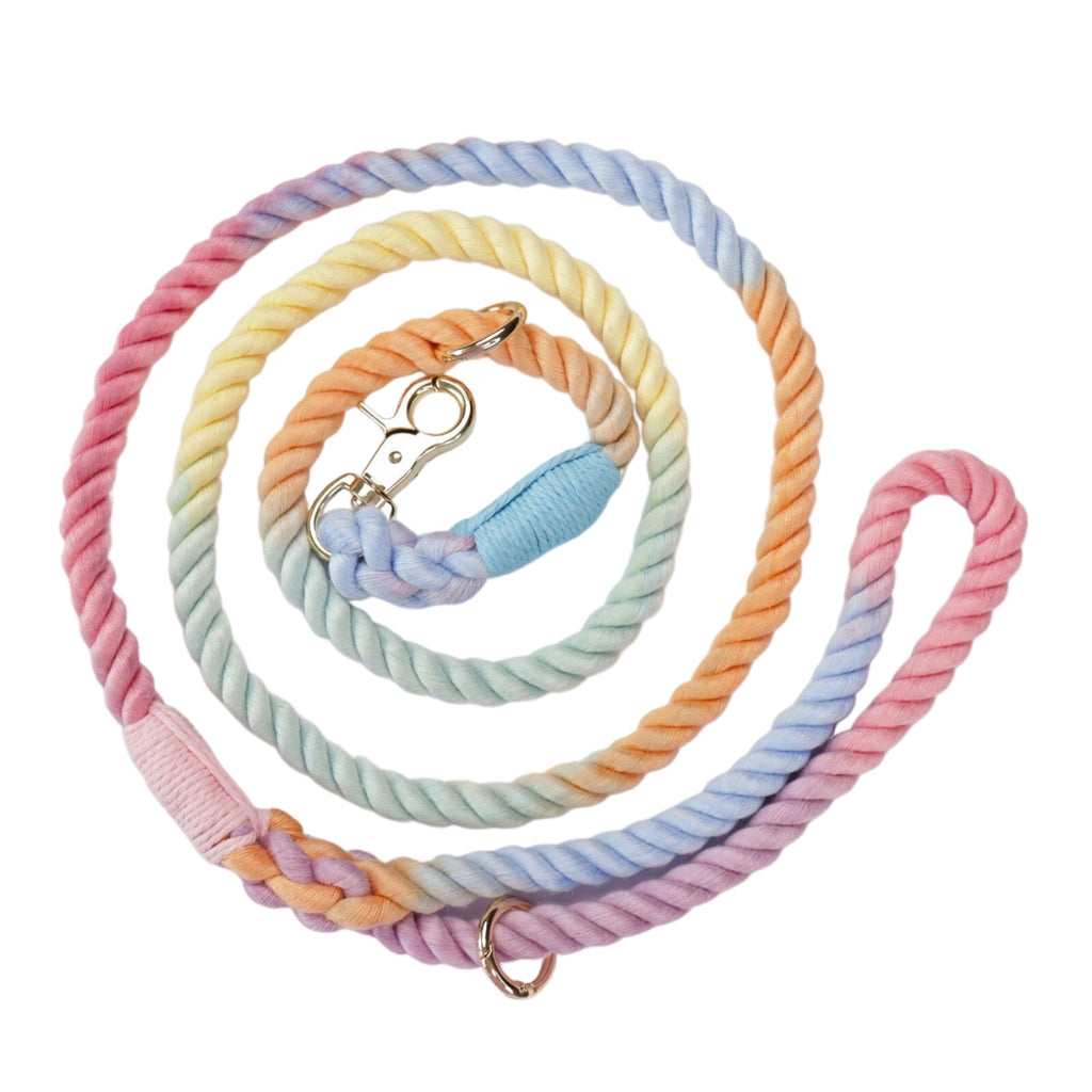 Oh So Fetch - Rope Lead Pastel