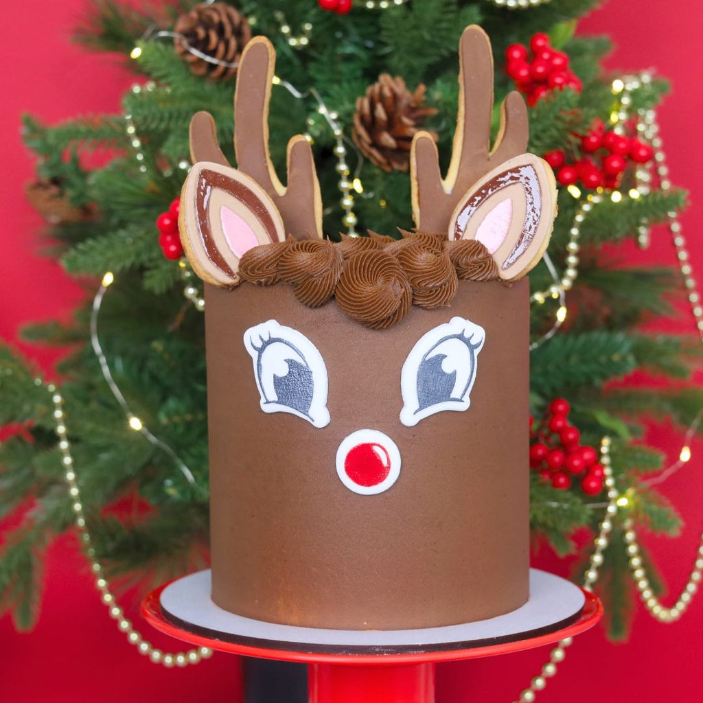 Reindeer Cake Kit