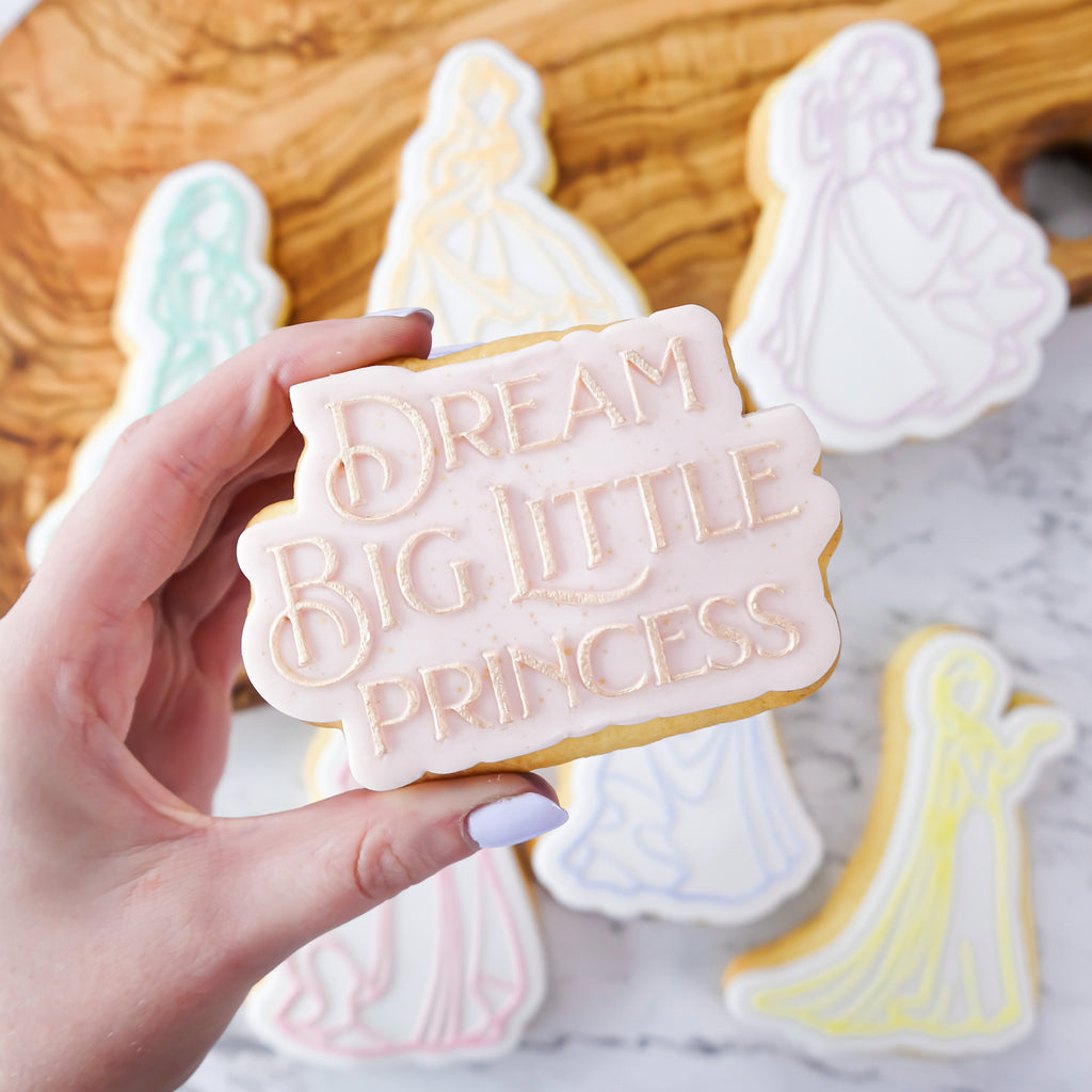 The Amy Jane Collection - Dream Big Little Princess